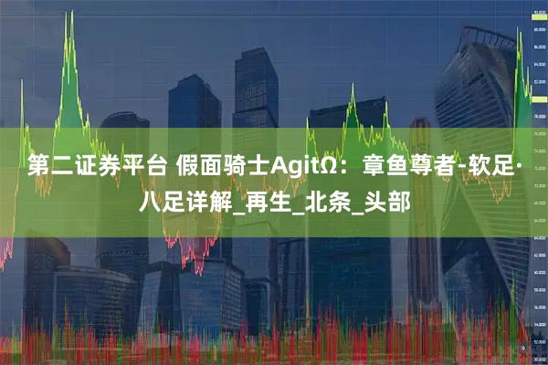 第二证券平台 假面骑士AgitΩ：章鱼尊者-软足·八足详解_再生_北条_头部